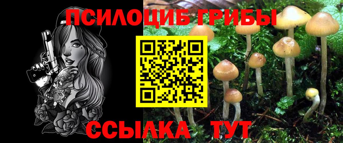 Георгиевск  Псилоцибиновые грибы мухоморы  Псилоцибиновые грибы Magic Shrooms  Вход с VPN 