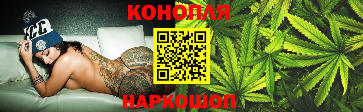 Каннабис сатива Георгиевск
